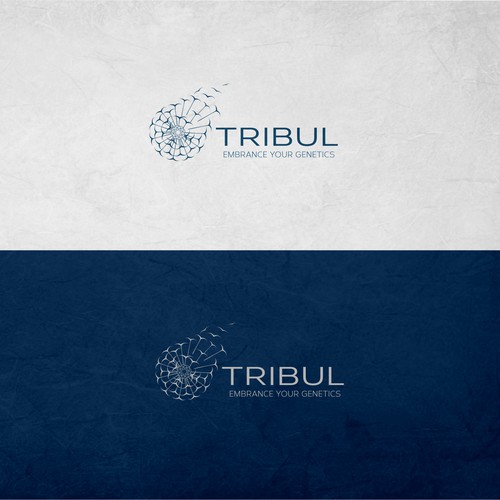 TRIBUL