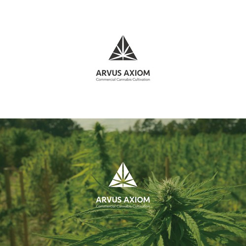 Logo for a cannabis management company 