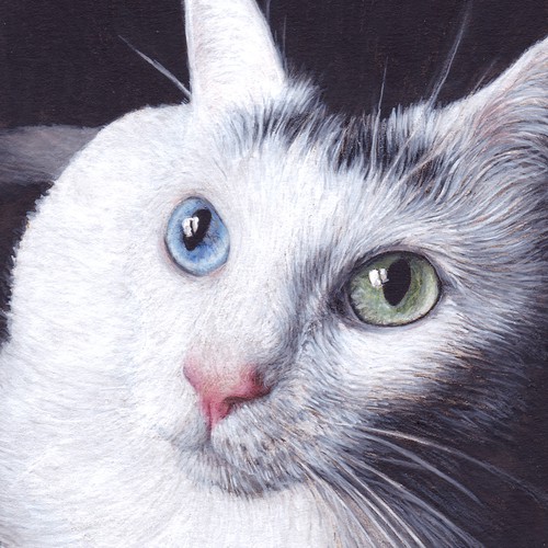 Painted portrait of a cat