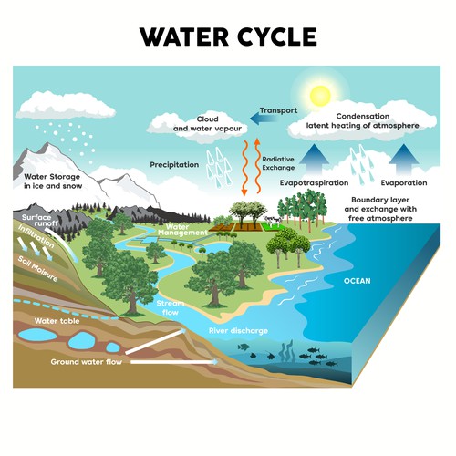 water cycle