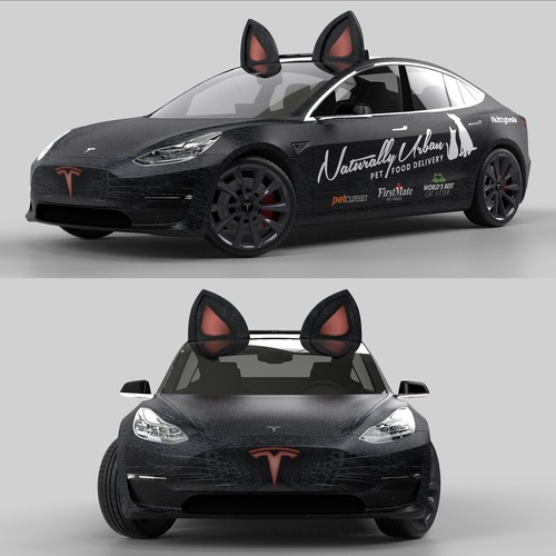 Turning Tesla into a Cat