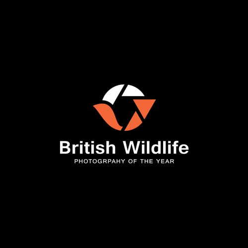 Minimalist logo concept for BWPOTY