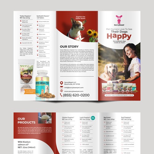 Brochure for SavvyBeast