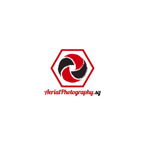 Create a stunning logo for an aerial photography business