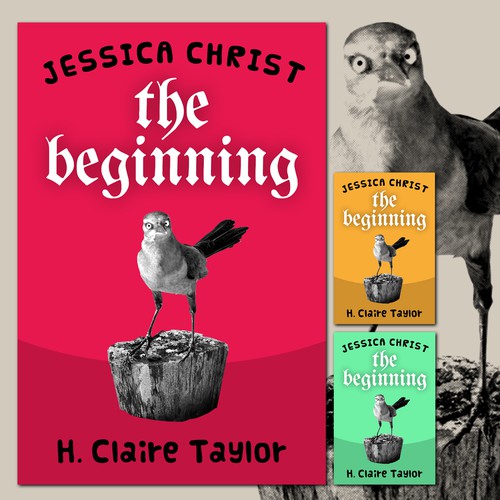 Comedy Series Book Cover