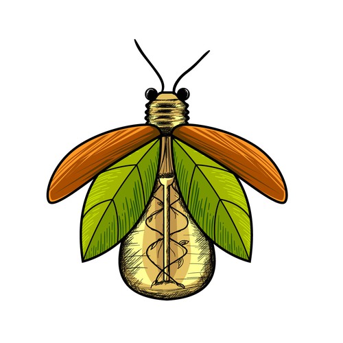 Hand-drawn logo for a firefly with lightbulb body