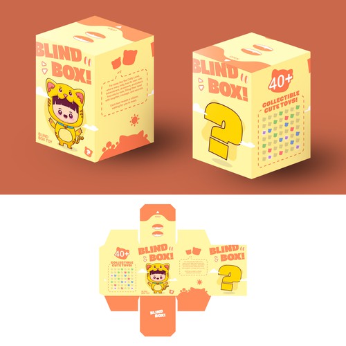 Blind Box Packaging