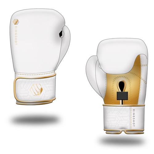 Elegant Boxing Gloves