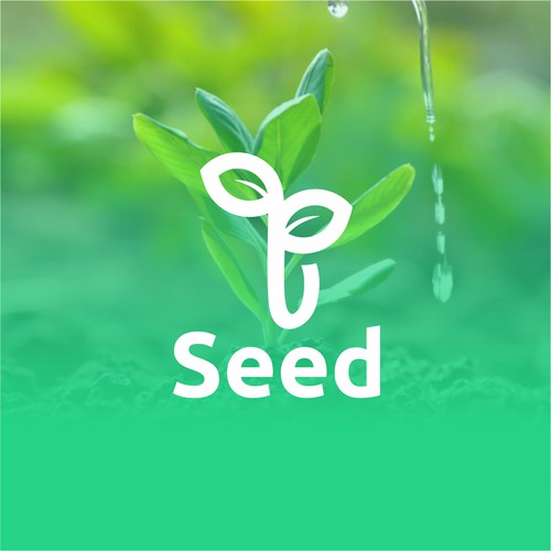 seed logo concept
