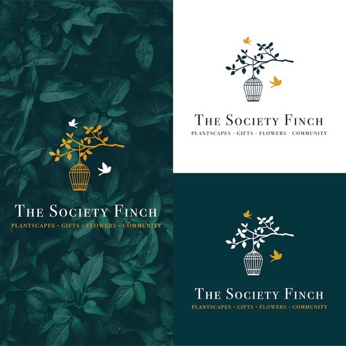 The Society Finch