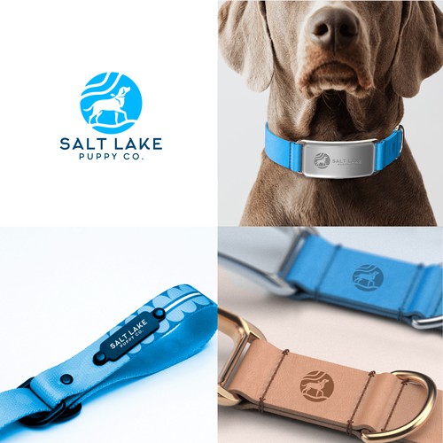Salt Lake Logo Design