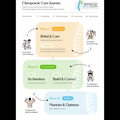 Chiropractic Care Explainer Inforgraphic
