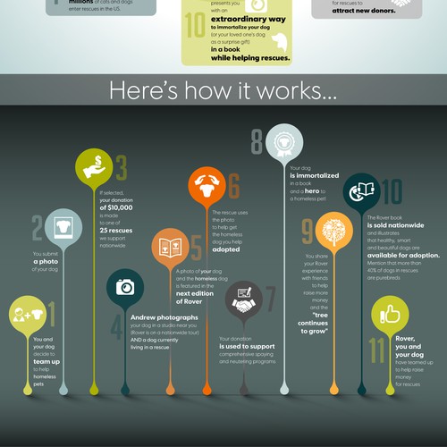 Rover Infographic