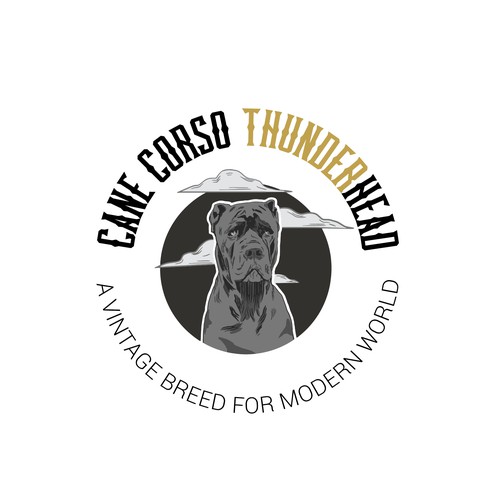 Logo Design entry.