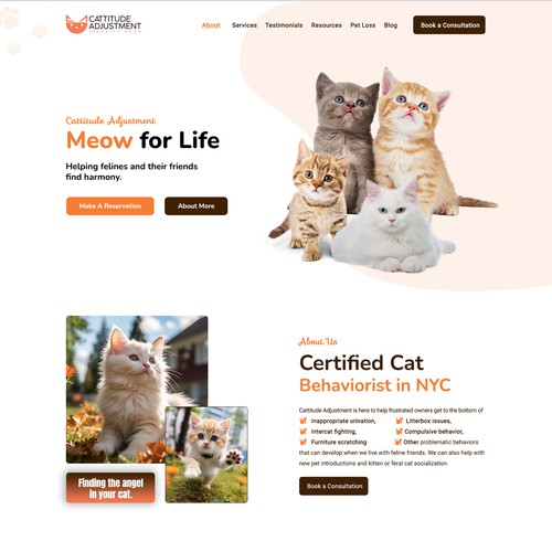cat behavior consultant web design