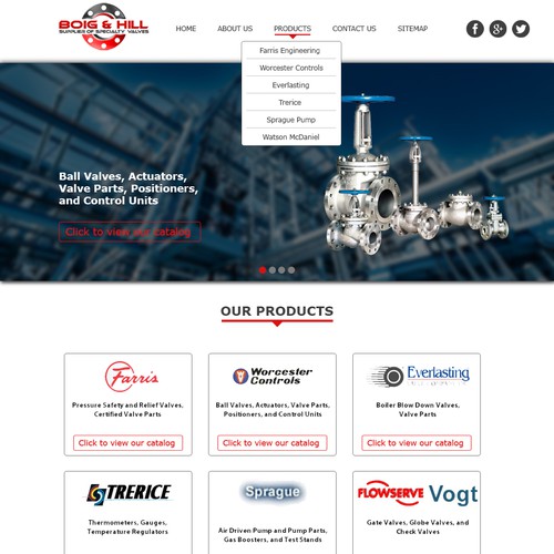 Website Redesign for Industrial Valve Company www.boighill.com