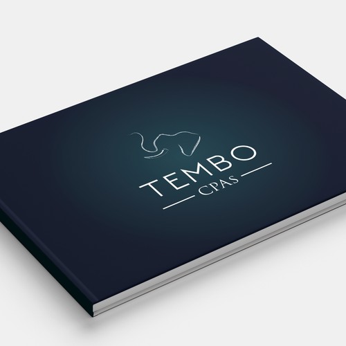 Tembo CPAs Branding Guideline