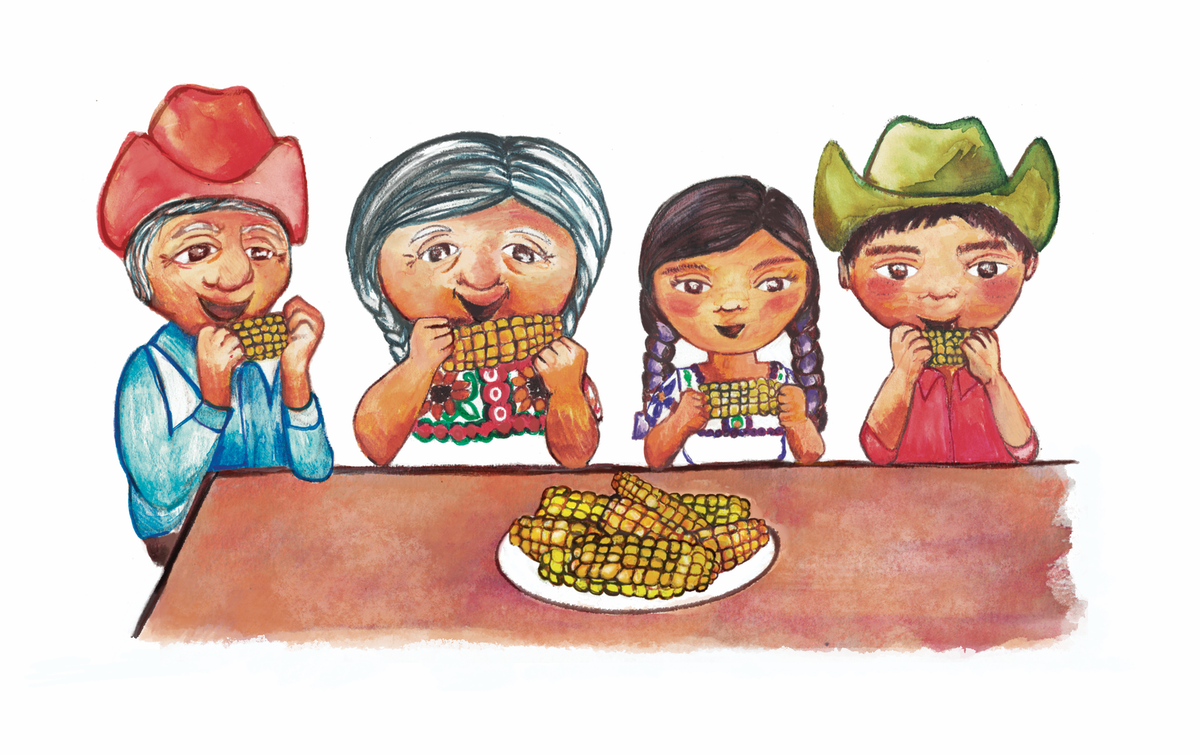 Looking for artist to illustrate corn production in an indigenous community