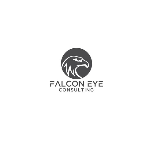 Falcon Eye Consulting