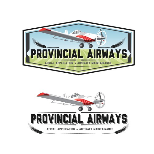 Help Provincial Airways with a new logo