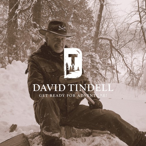 Clean Logo Design for David Tindell Author