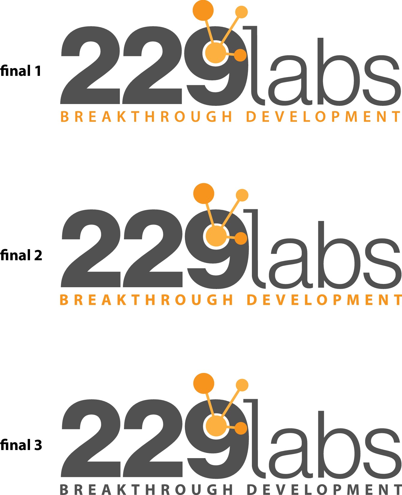 Create a smart, simple, technical logo for a software product and consulting company