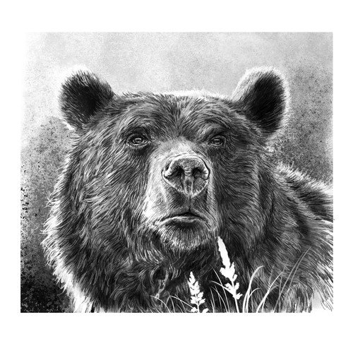 Great Alaskan Grizzly Bear