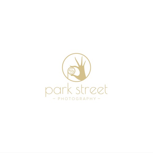 Park Street Photography