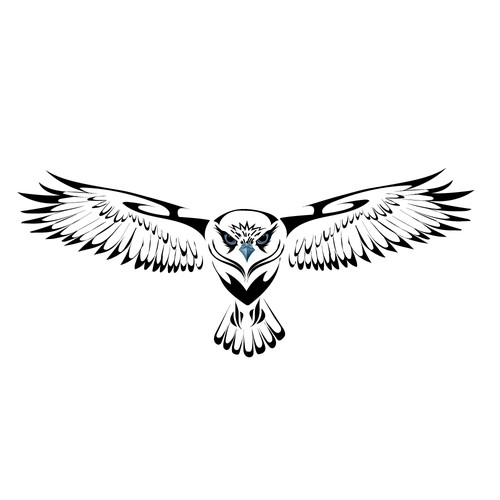 Tatto`s hawk illustration