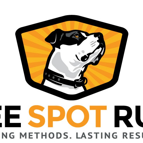 Pro Dog Trainer Needs New Logo
