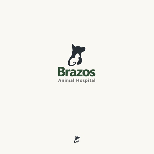 Brazos Animal Hospital