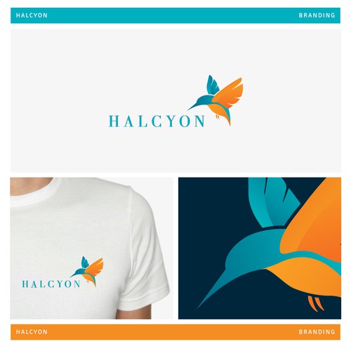 Create a eye popping logo design for Halcyon supplements