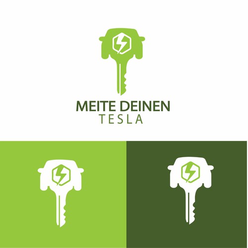 Meite Deinen Tesla ( Rent a Tesla ) Professional Standalone logo.