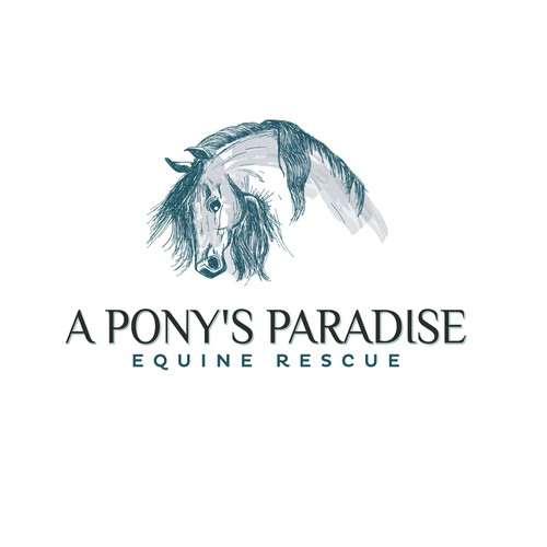A Pony's Paradise