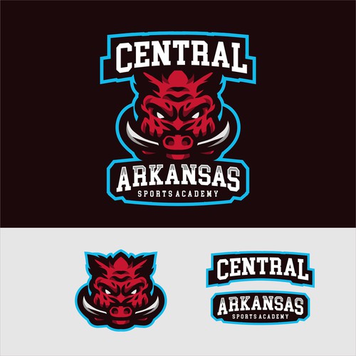 Central Arkansas Sports Academy
