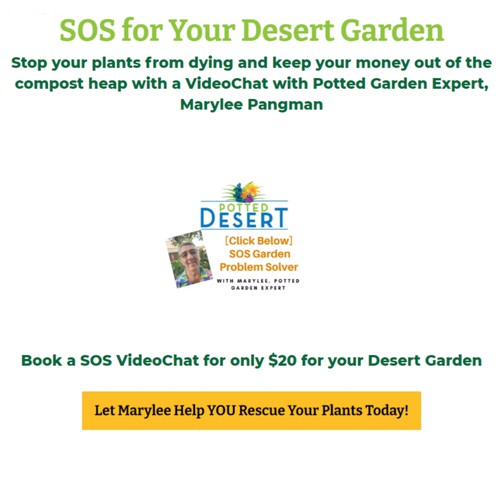 Book a video chat with a gardening expert