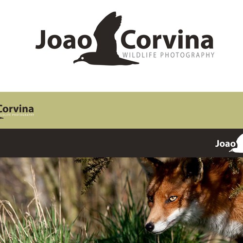 Create the next logo for JCorvina or JC or Joao Corvina
