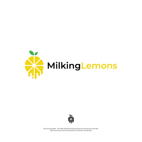 Logo concept for a internet company