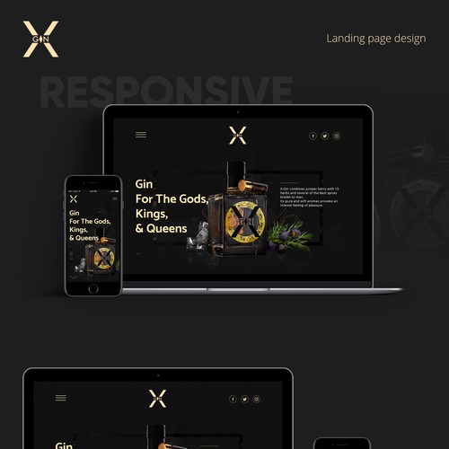 Landing page design for X-Gin