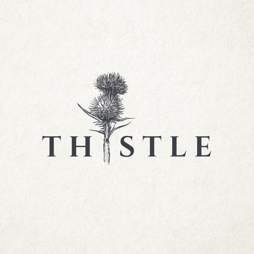 Thistle