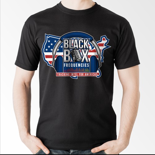 USA Logo for American Politics Podcast