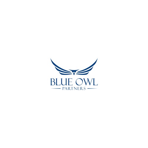 Design a professional/financial logo for Blue Owl Partners