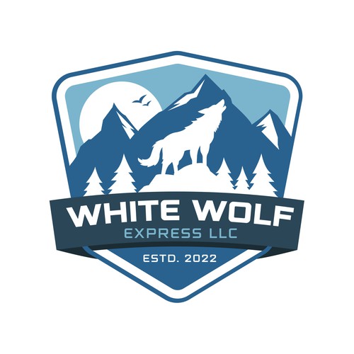 Looking for a classic/modern logo for my delivery company. Pacific Northwest themed.