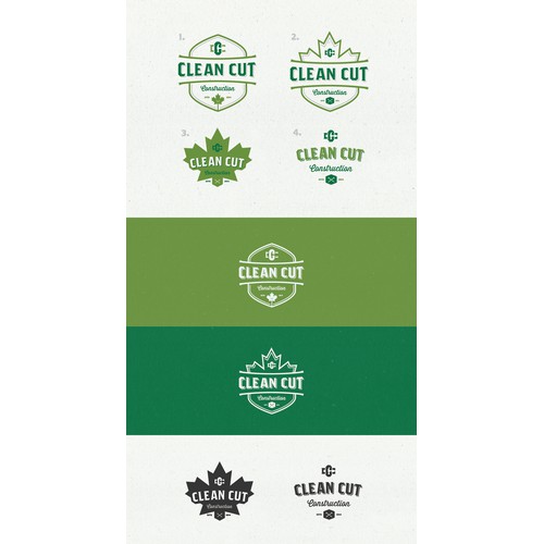Create a classic, rugged, rustic, original and "clean cut" logo for ayoung construction/carpentry company