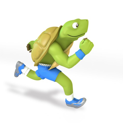 3D turtle character 