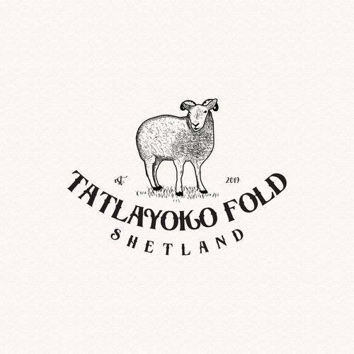 Tatlayoko Fold Shetland