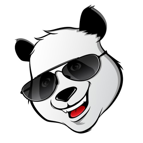 Panda Head Illustration