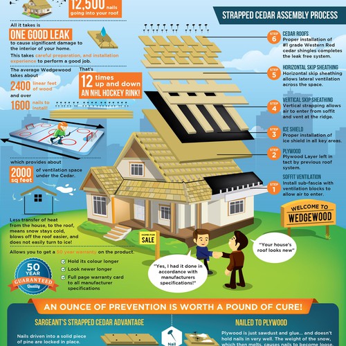 Cedar roof for house property infographic