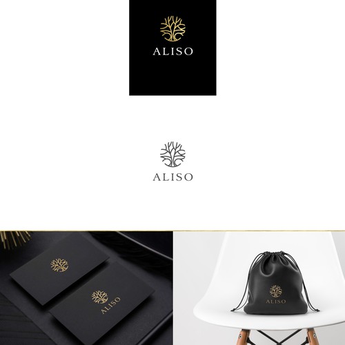 Discover Aliso's Branding!