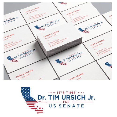 Dr. Tim Ursich Jr. for US Senate